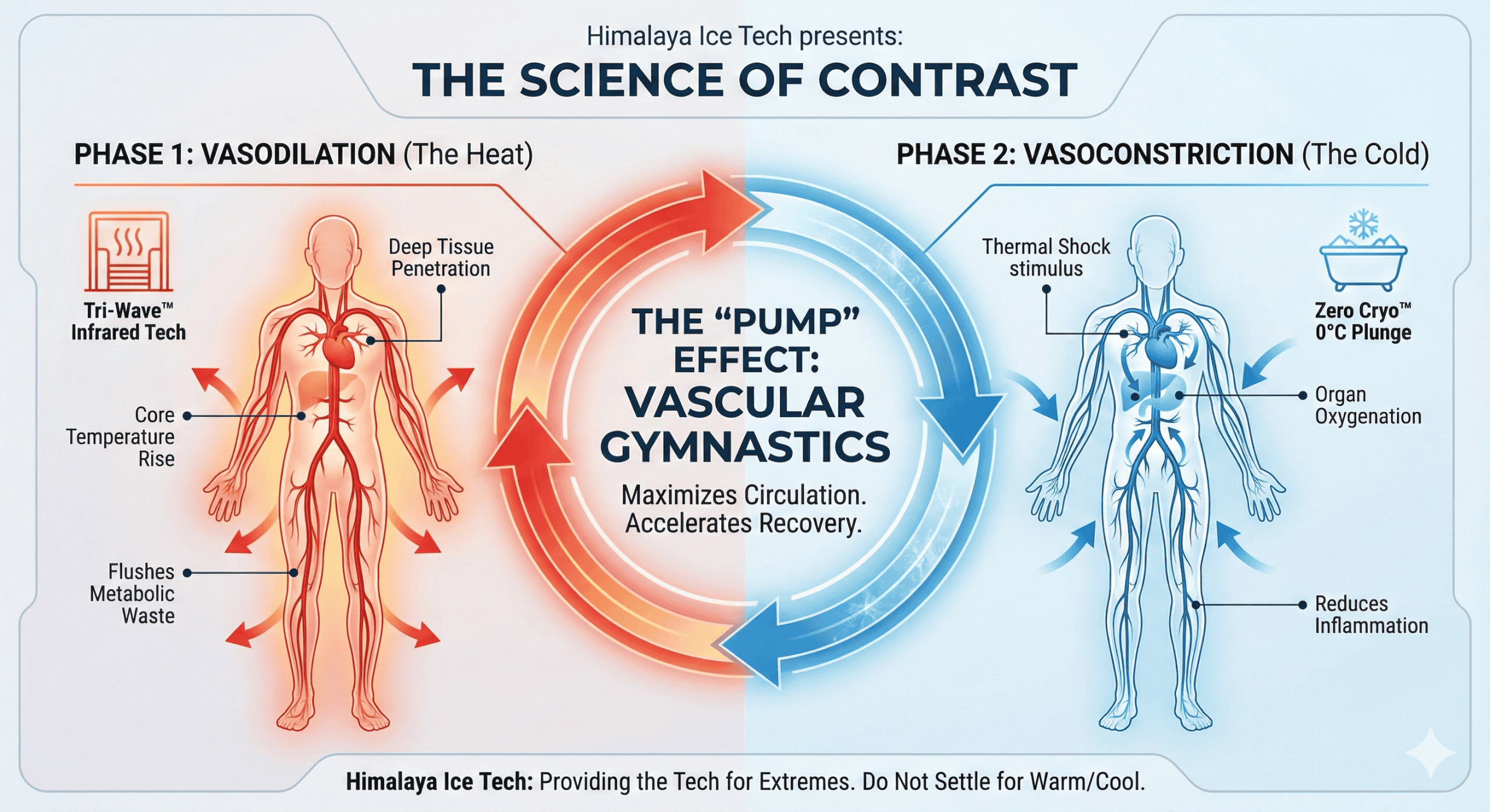 The Science of Contrast Therapy by Himalaya IceTech: Vasodilation and Vasoconstriction, The Pump Effect and Vascular Gymnastics for extreme recovery